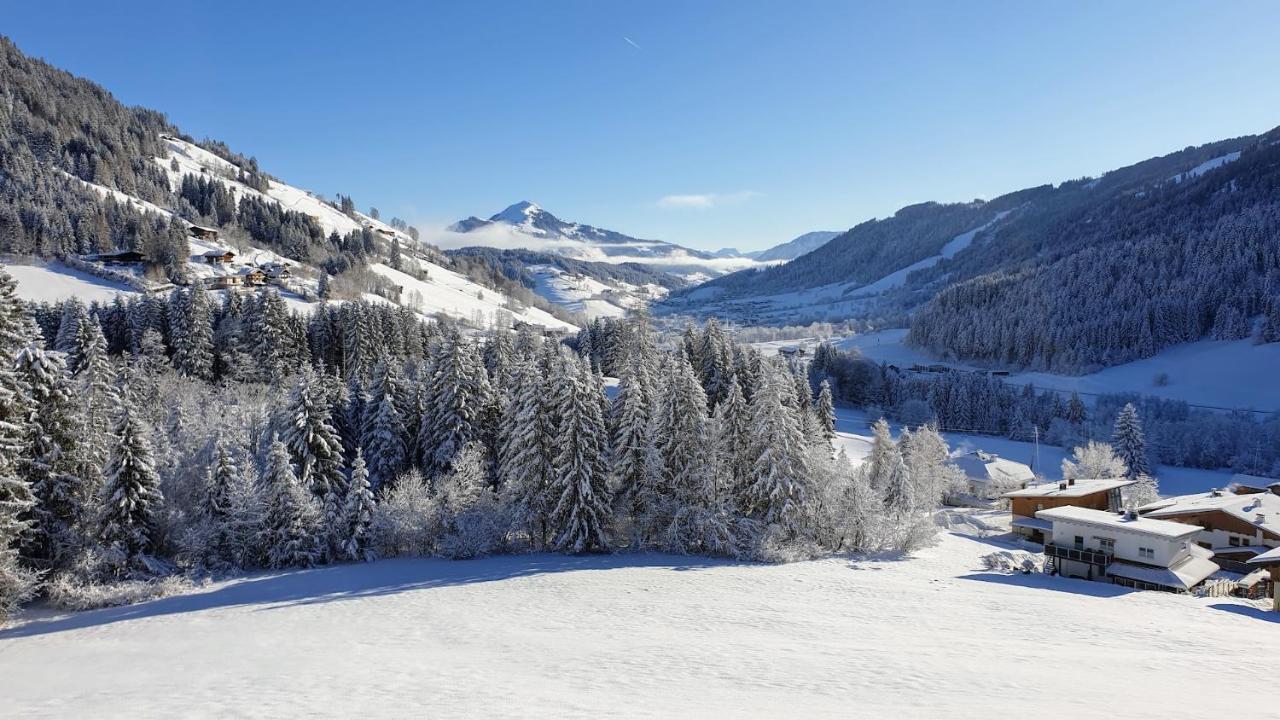 Ferienwohnung Zauberwinkelweg Mit Traum-Aussicht! Wildschoenau Eksteriør billede